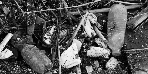 Delitos Societarios Málaga del Fresno · Delitos Contra los Recursos Naturales / Medioambiente