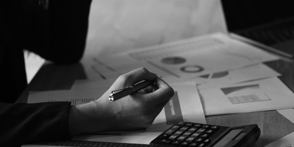 Delitos Societarios Málaga del Fresno · Delitos de Impedimento del Ejercicio de los Derechos Sociales