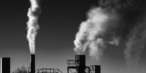 Delitos Societarios Málaga del Fresno · Delitos Contra el Medioambiente / Contaminación